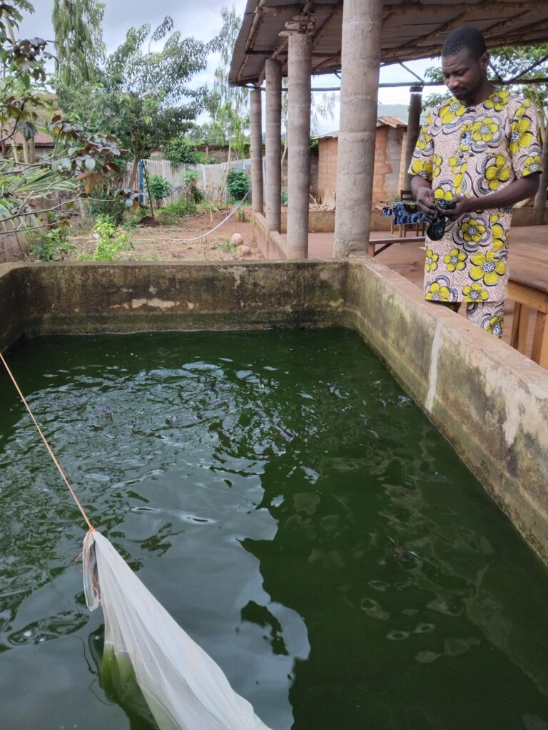 Le bassin d'élevage de poissons de l'orphelinat de Pobé